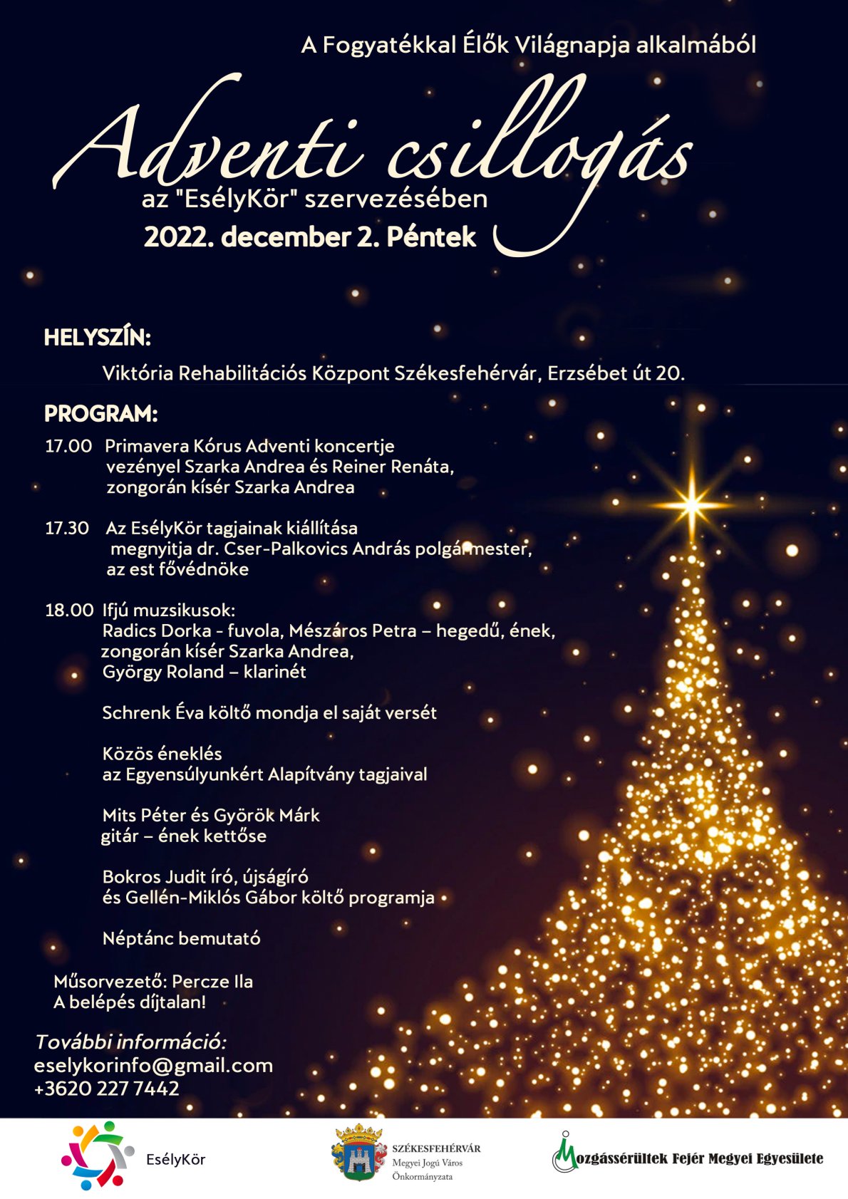 Fogyatékkal élők világnapja - Adventi csillogás a Viktória Rehabilitációs Központban